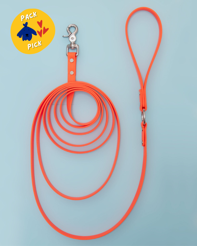 Weekend Long Leash in Neon Orange (10 or 20 Foot) (Made in the USA) WALK DOG & CO. COLLECTION   