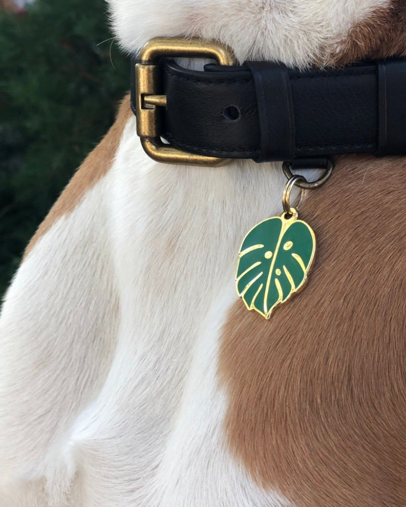 Monstera Deliciosa ID Tag (Custom/Drop-Ship) (Made in the USA) DROP-SHIP TWO TAILS PET COMPANY   