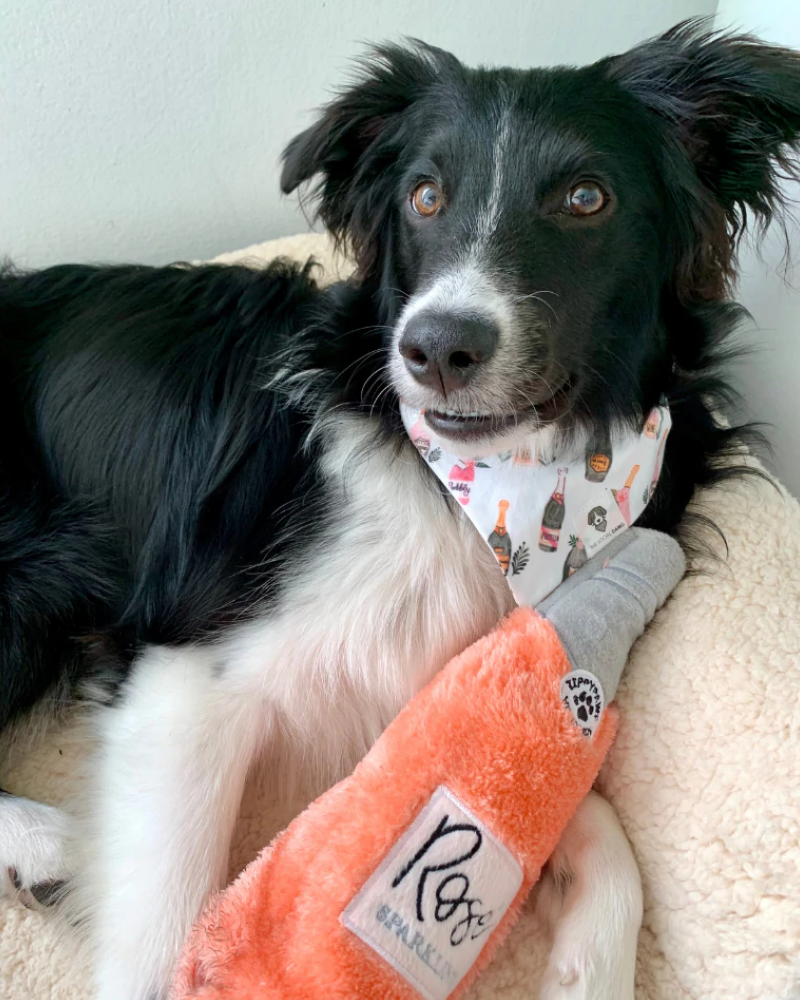Champagne Bubbly Dog Bandana<br>(Made in the USA) Wear THE SOCIAL DAWG   