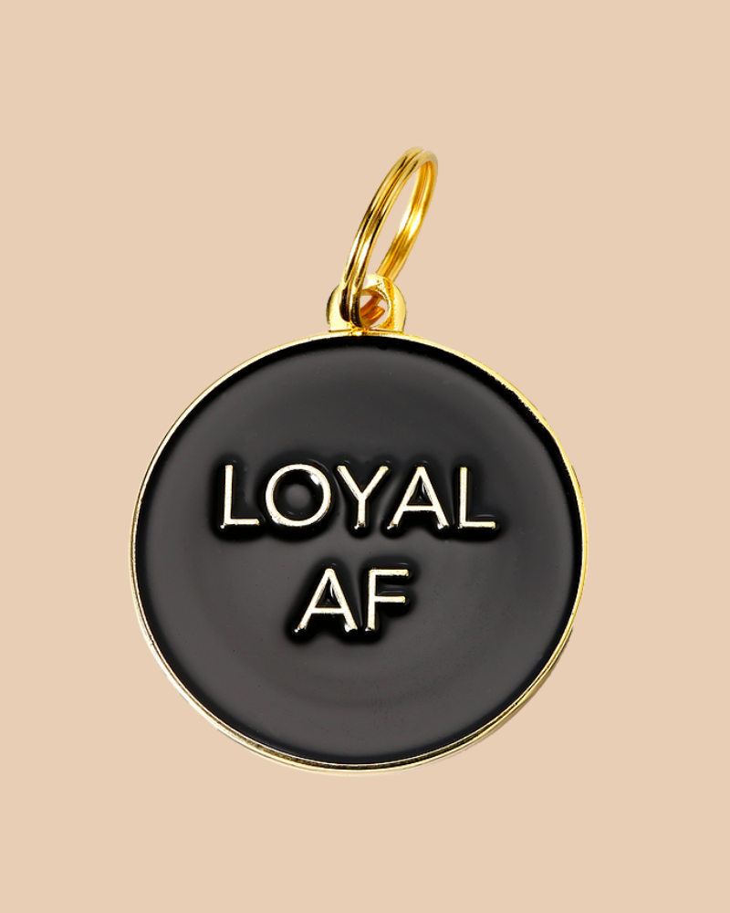 Loyal AF ID Tag (Custom/Drop-Ship) (Made in the USA) DROP-SHIP TWO TAILS PET COMPANY   