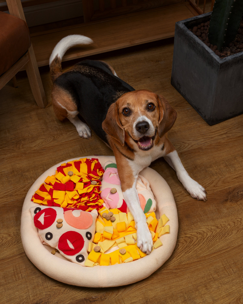 Pizza Snuffle Mat for Dogs & Cats PLAY INJOYA   