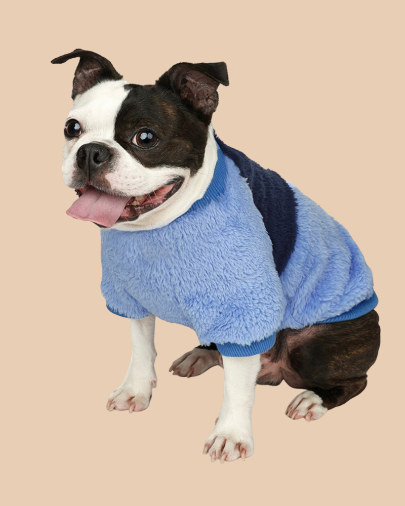 Willy Soft Fleece Pullover in Navy (FINAL SALE) Wear CHARLIE'S BACKYARD   