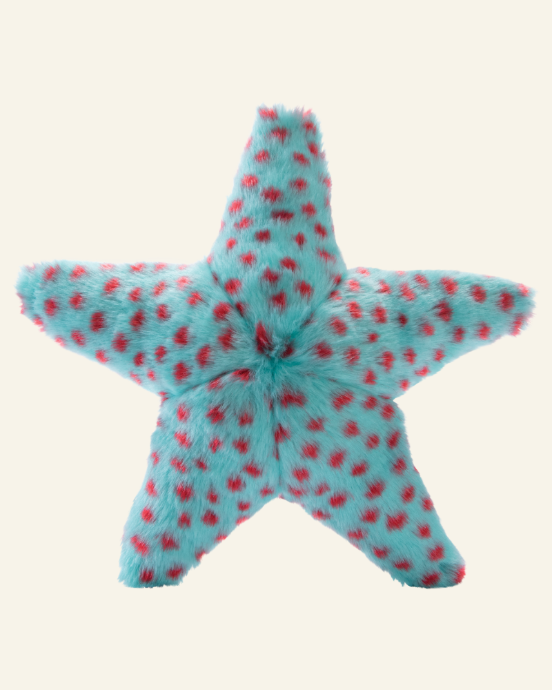 Ally The Starfish Crinkle Plush Dog Toy Play FLUFF & TUFF   