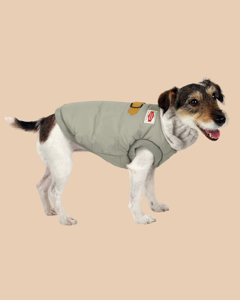 Warm Up Harness Jacket in Beige Wear CHARLIE'S BACKYARD   