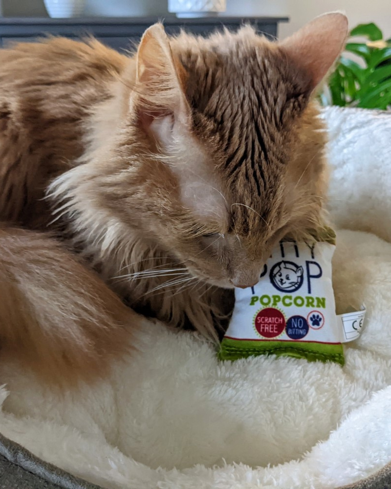 Kitty Pop Crinkle Plush Cat Toy w/ Catnip Play Huxley & Kent   
