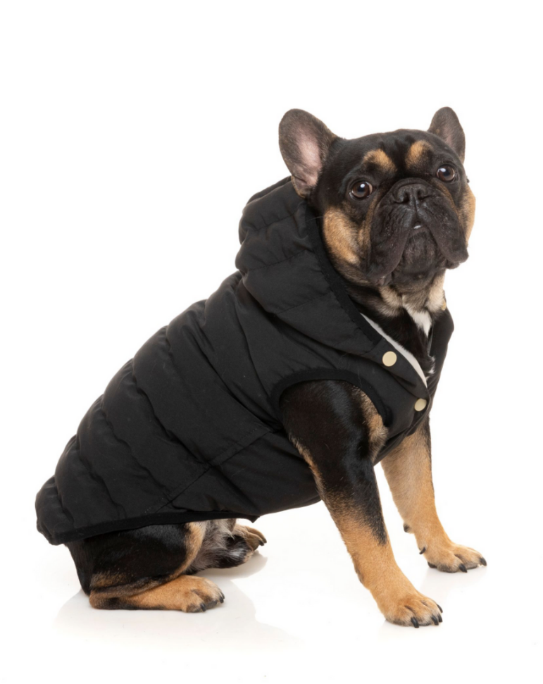 Black Aspen Puffer Dog Jacket  << FINAL SALE >> Wear FUZZYARD   