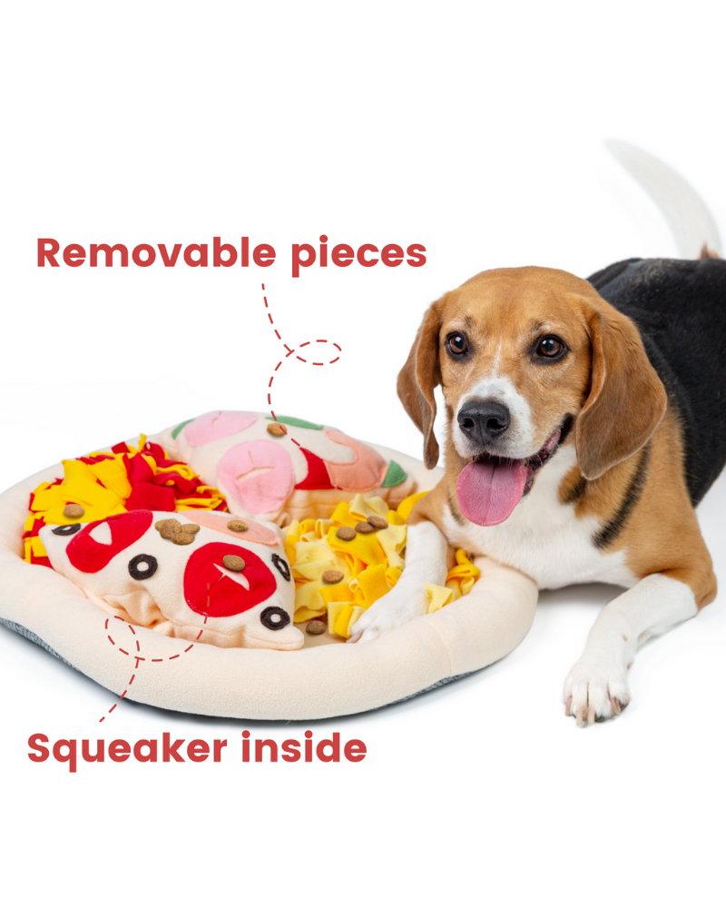 Pizza Snuffle Mat for Dogs & Cats PLAY INJOYA   