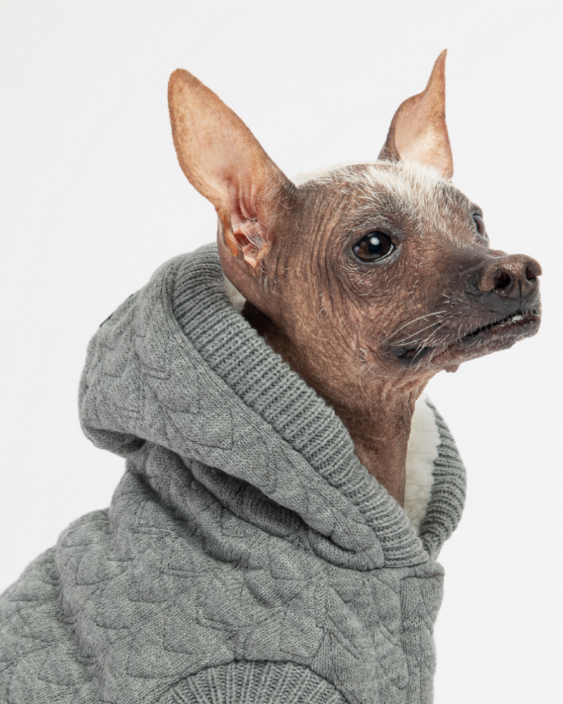 Maxwell Grey Dog Sweater Hoodie<br>((FINAL SALE)) Wear SILVER PAW   