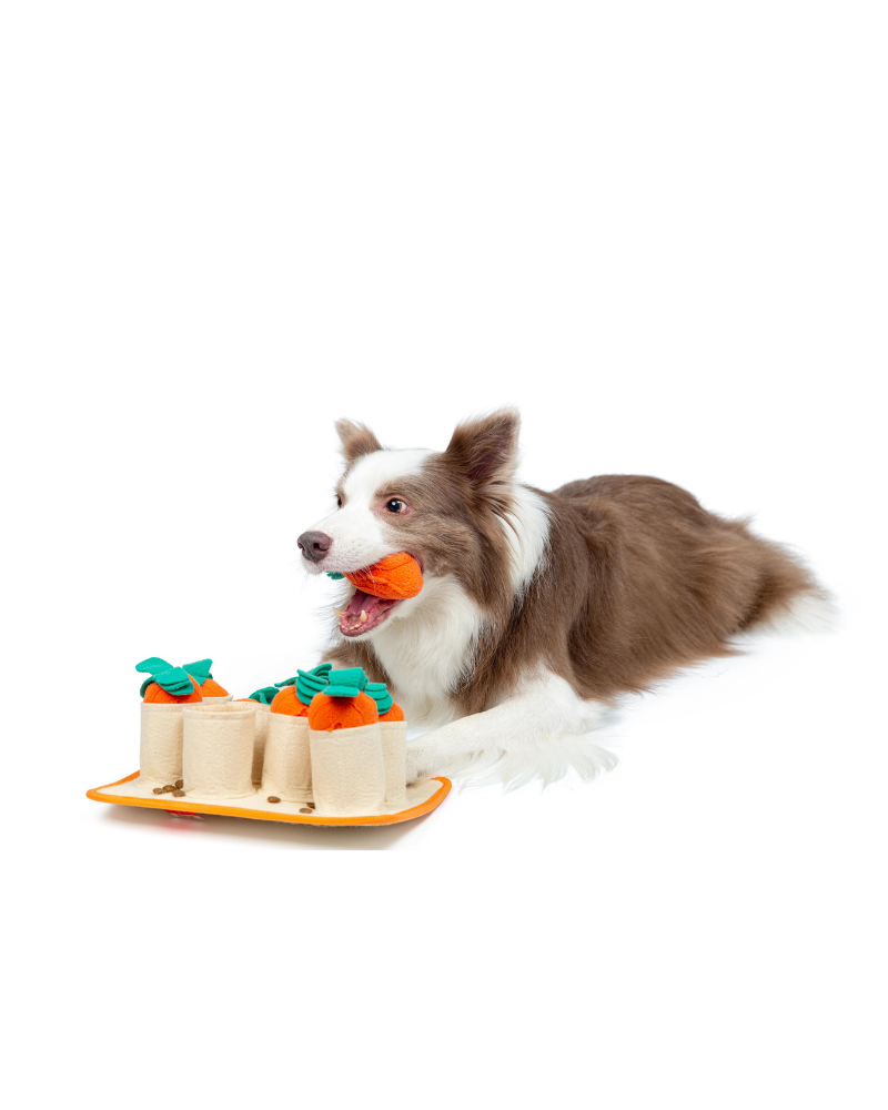Carrot Patch Snuffle Feeding Toy for Dogs & Cats Play INJOYA   