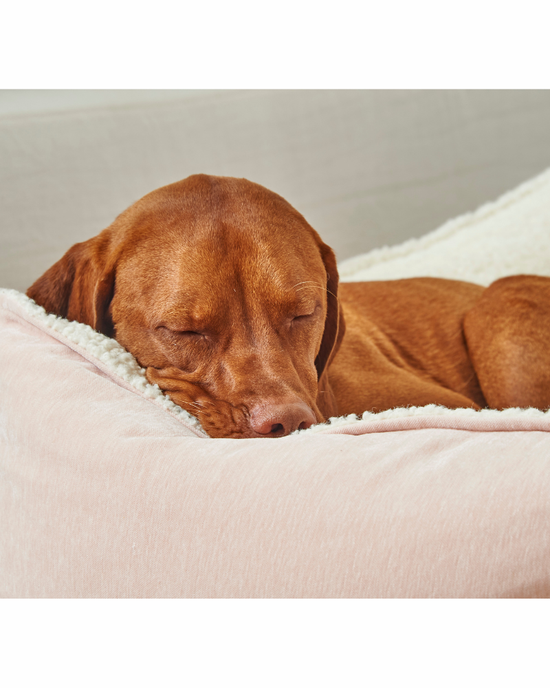 Scoop Bed in Blush & Ivory Sheepskin (Direct-Ship) HOME BOWSER'S PET PRODUCTS   