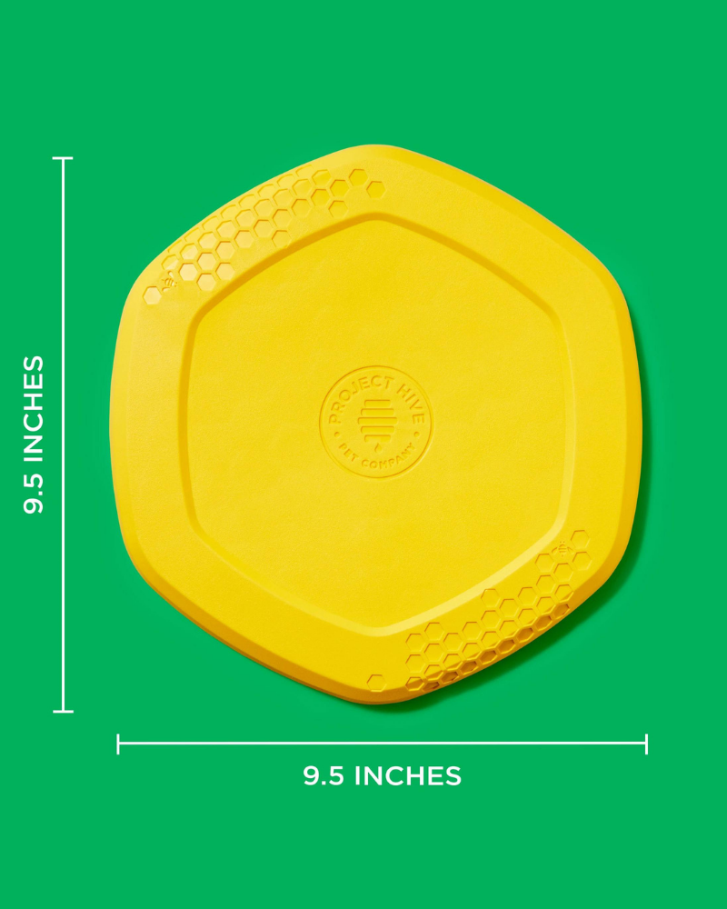 Hive 3-In-1 Dog Disc Toy (Made in the USA) Toys PROJECT HIVE PET COMPANY   