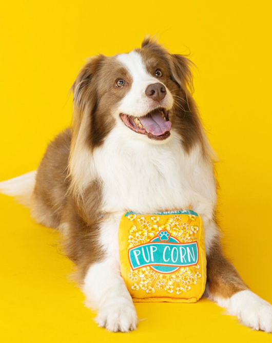 Pupcorn Crinkle + Squeak Plush Dog Toy (FINAL SALE) Play WAGSDALE   