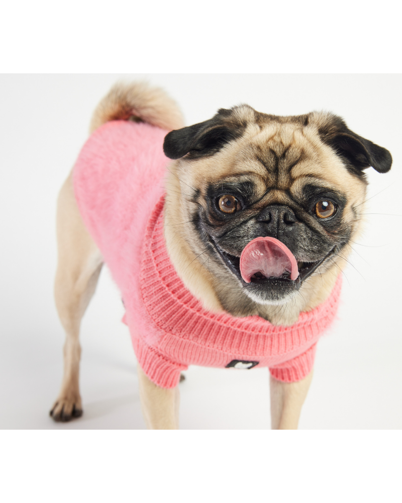 Long-Haired Fuzzy Dog Sweater<br>((FINAL SALE)) Wear SILVER PAW   