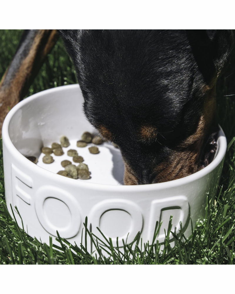 Classic Food Ceramic Pet Bowl in White Eat PARK LIFE DESIGNS   