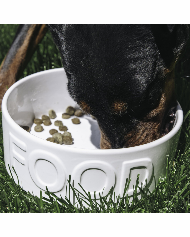 PARK LIFE DESIGNS | Classic Food Ceramic Pet Bowl in White