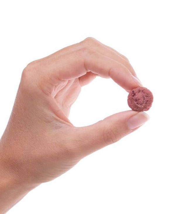 Bacon Bites Dog Treats (Made in the USA) Eat PREEN PETS   