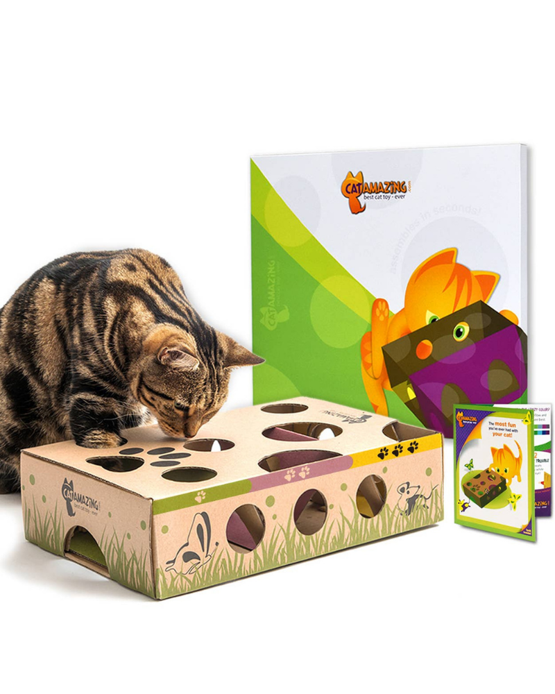Cat Puzzle Feeder Toy << FINAL SALE >> CAT CAT AMAZING   