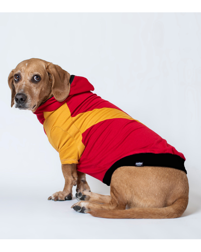 The Essey Pullover Hoodie for Long Dogs (Made in the USA) << FINAL SALE >> Wear LONG DOG CLOTHING   