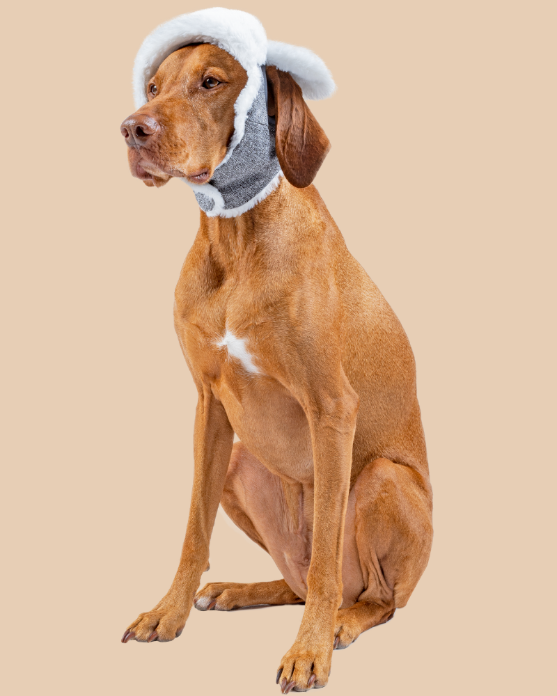 Arctic Air Aviator Dog Hat Wear CANADA POOCH   