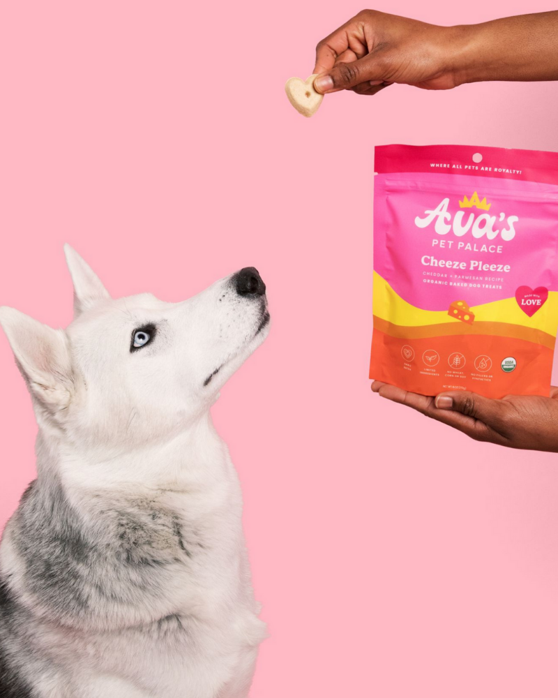 Cheeze Pleeze Dog Biscuit Bites Eat AVA'S PET PALACE   