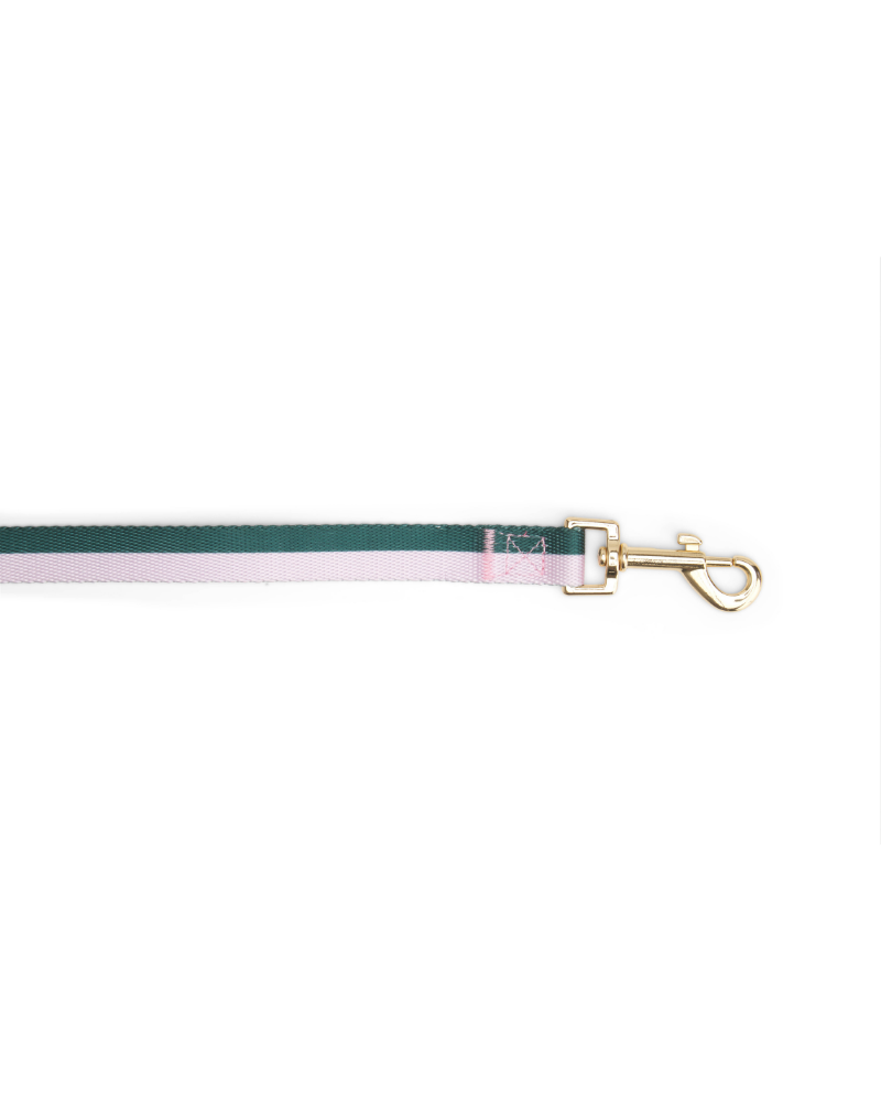 Hunter + Blush Stripe Dog Leash (FINAL SALE) WALK BOULEVARD   