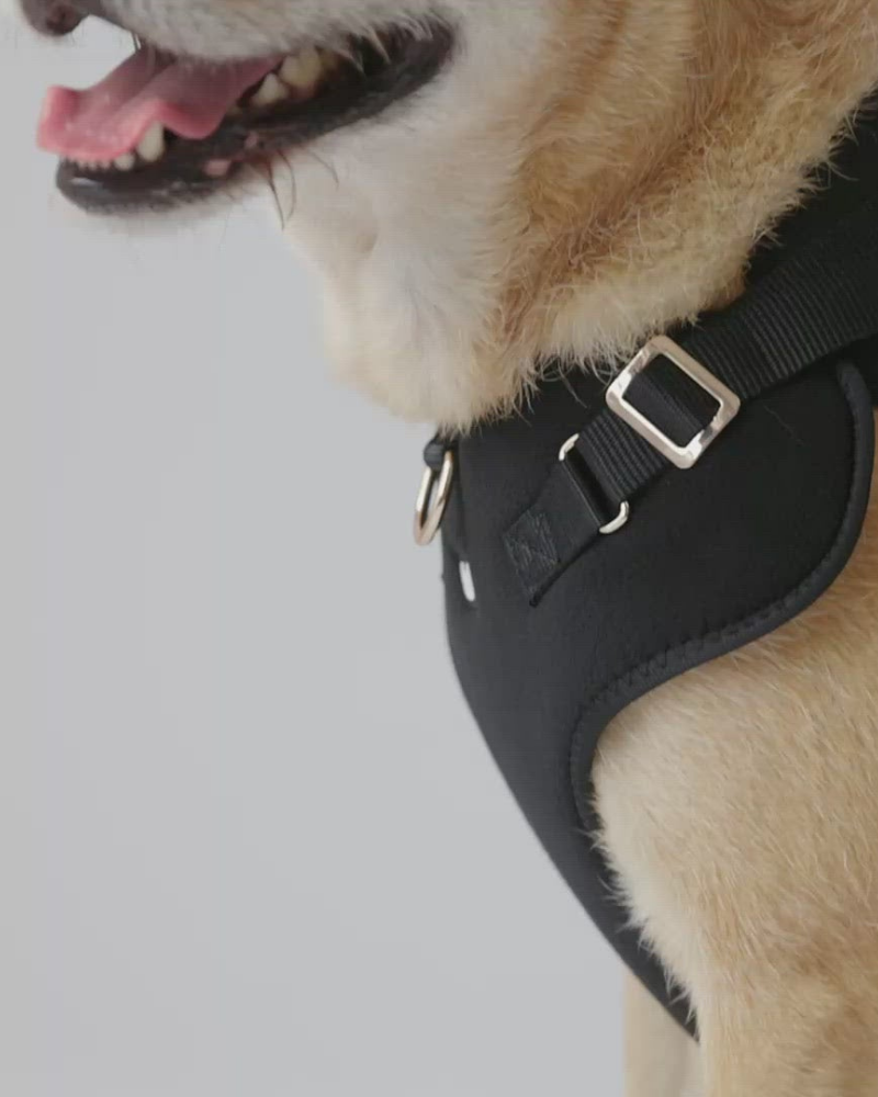 Aquafleece Water Repellant Dog Harness in Black<br>(FINAL SALE) Dog Supplies SILVER PAW   