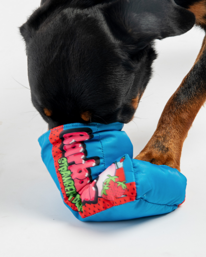 Barkalicious Crinkle + Squeak Dog Toy (FINAL SALE) Play SILVER PAW   