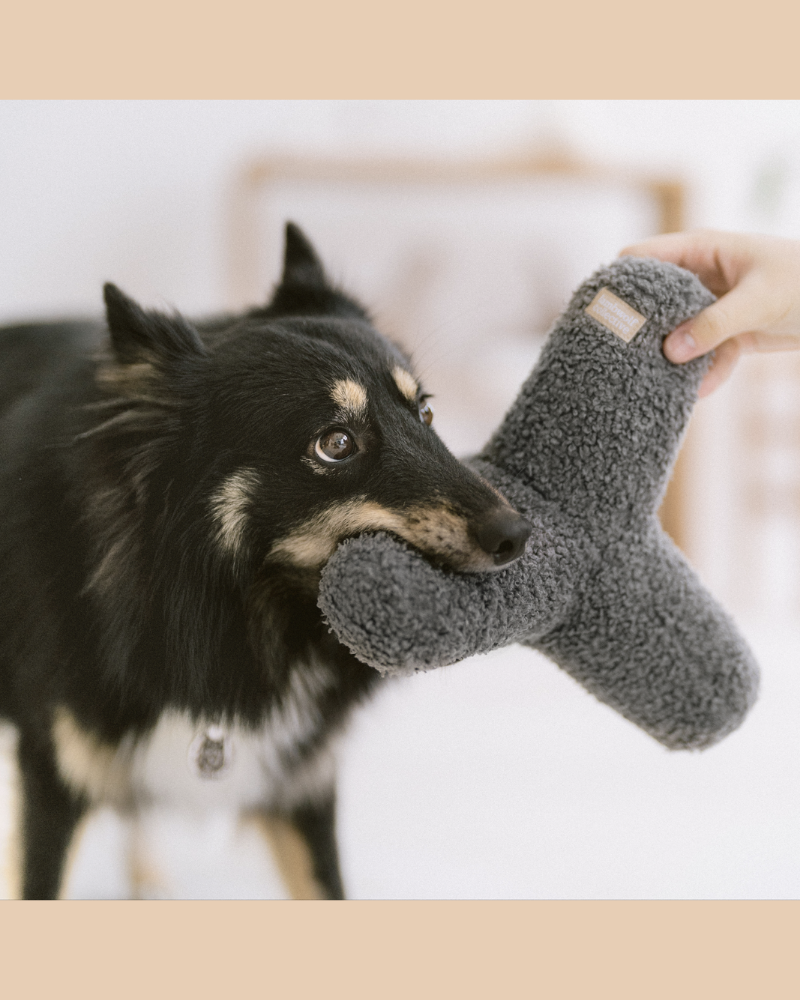 O Breuer Oversized Crinkle & Squeak Dog Toy in Concrete (FINAL SALE) Play LAMBWOLF COLLECTIVE   