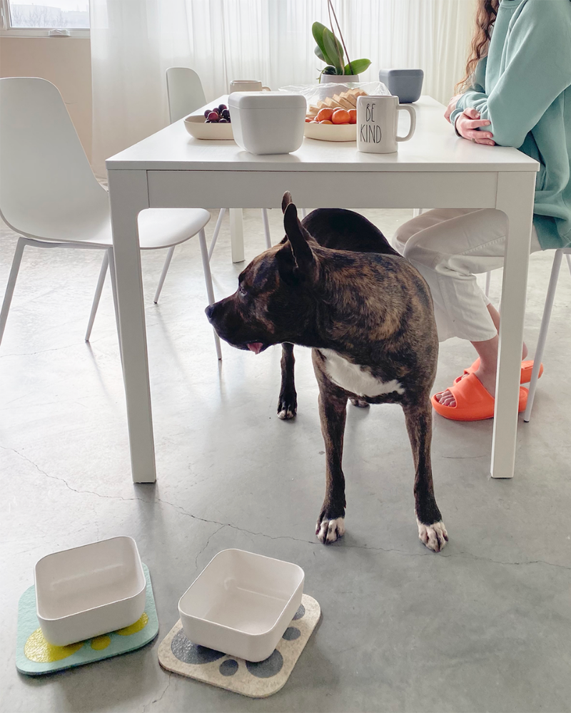 The Bamboo Fiber Puppy Pantry Bowl Set Eat HOUSE DOGGE   