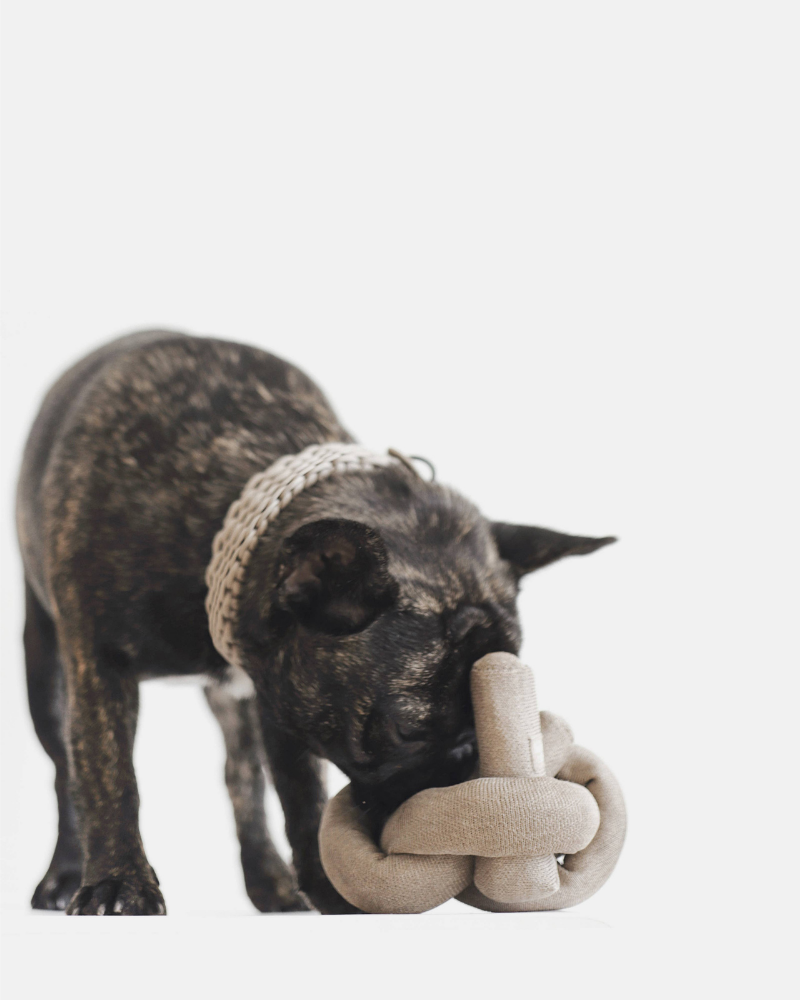 NouNou Interactive Dog Toy in Tan Play LAMBWOLF COLLECTIVE   