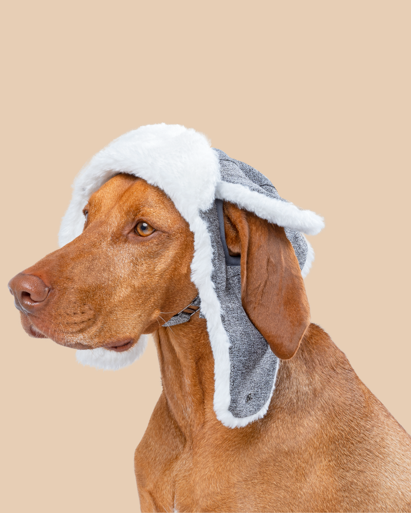 Arctic Air Aviator Dog Hat Wear CANADA POOCH   