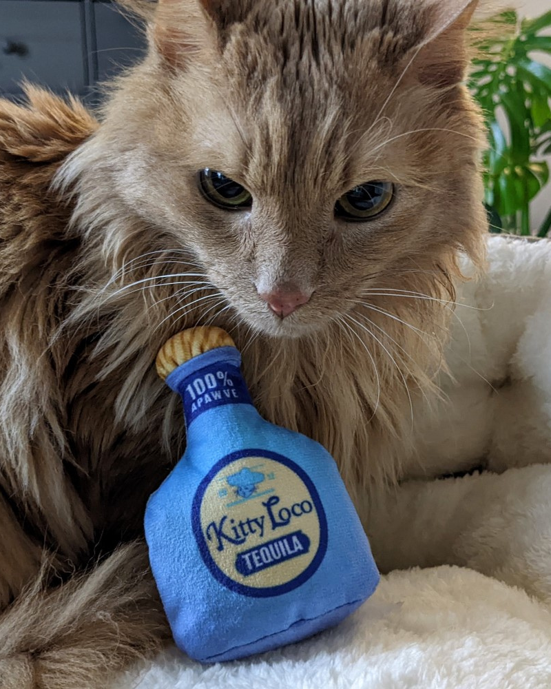 Kitty Loco Tequila Crinkle Plush Cat Toy w/ Catnip Play Huxley & Kent   