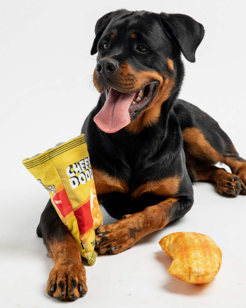 Cheese Doodles Crinkle + Squeak Dog Toy Play SILVER PAW   