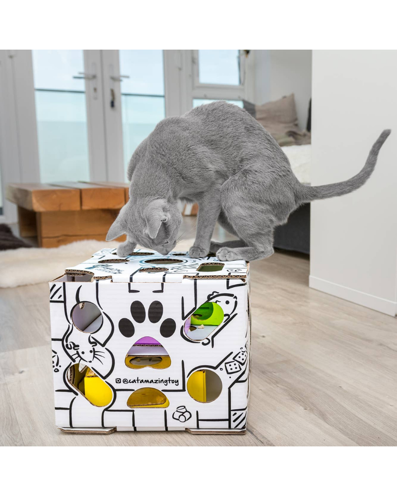 Sliders Puzzle Cat Toy << FINAL SALE >> CAT CAT AMAZING   