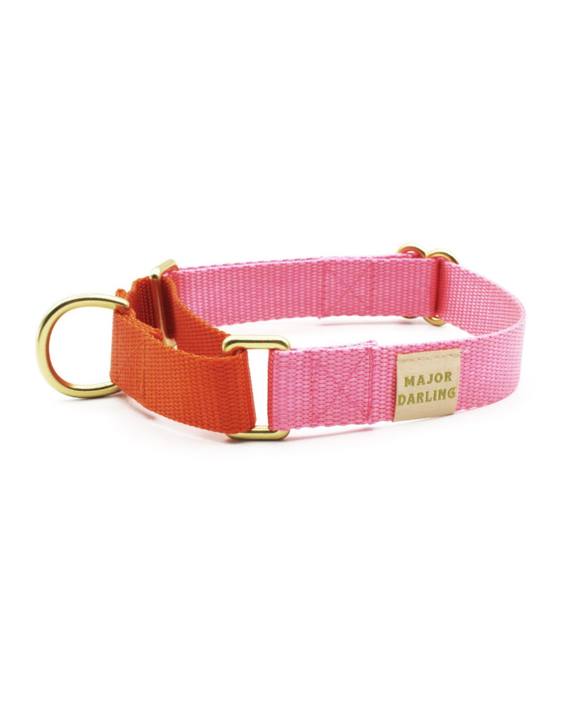 Martingale Dog Collar in Pink + Orange (Made in the USA) WALK MAJOR DARLING   