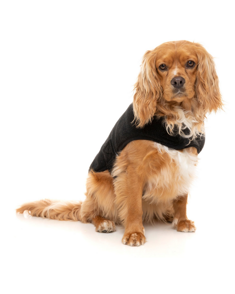 Black Teddy Wrap Dog Vest << CLEARANCE >> Wear FUZZYARD   