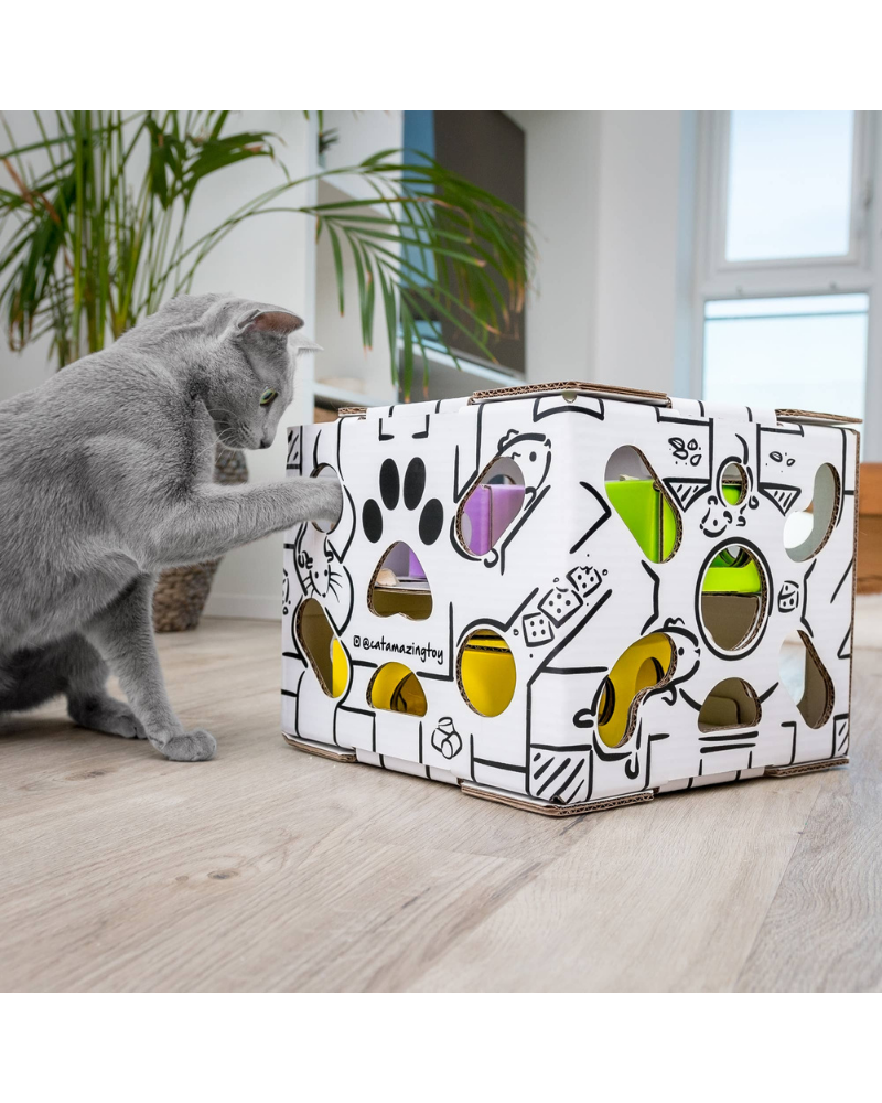 Sliders Puzzle Cat Toy << FINAL SALE >> CAT CAT AMAZING   