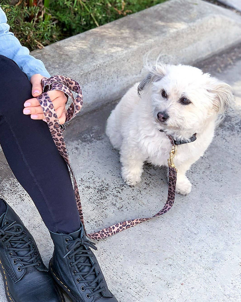 Leopard Dog Leash (FINAL SALE) WALK BOULEVARD   