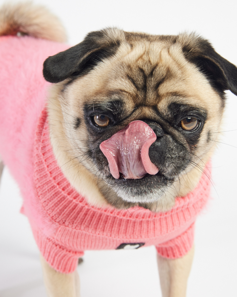 Long-Haired Fuzzy Dog Sweater<br>((FINAL SALE)) Wear SILVER PAW   