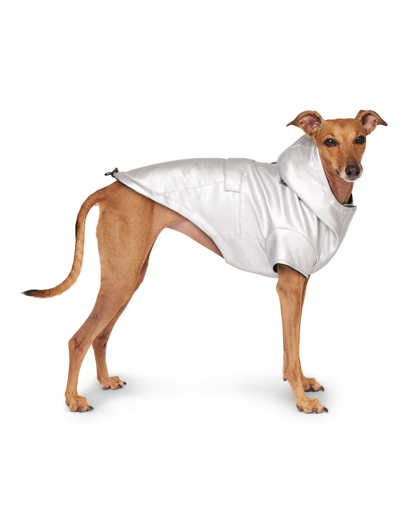 Cold Front Dog Raincoat in Silver (FINAL SALE) Wear CANADA POOCH   