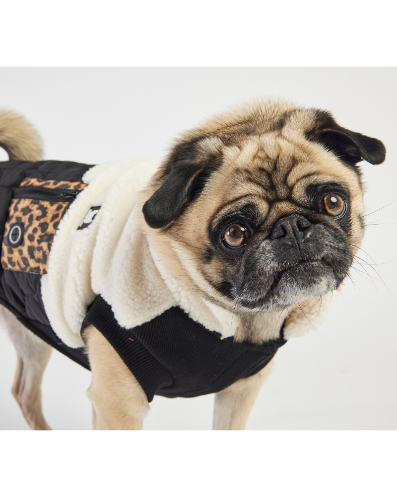 Silverpaw sales dog coat