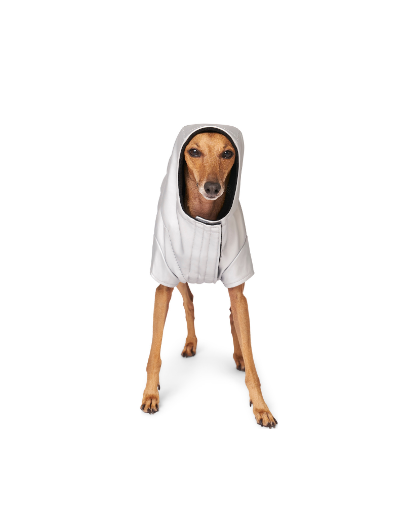 Cold Front Dog Raincoat in Silver (FINAL SALE) Wear CANADA POOCH   