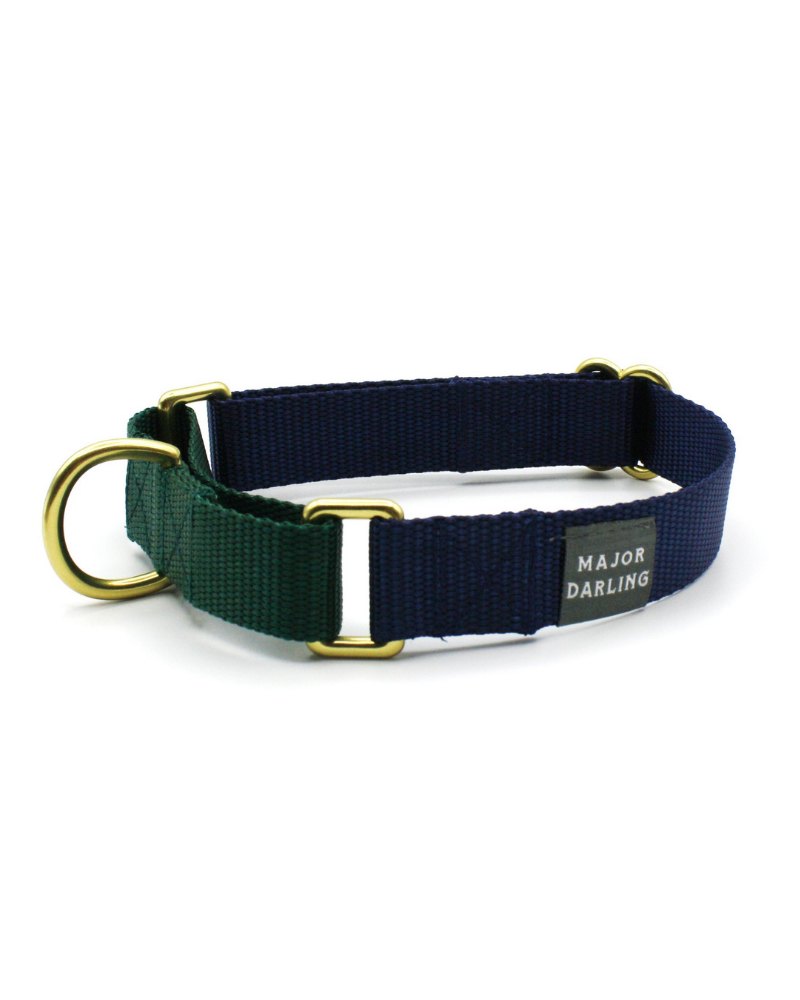 Martingale Dog Collar in Navy + Evergreen (Made in the USA) WALK MAJOR DARLING   