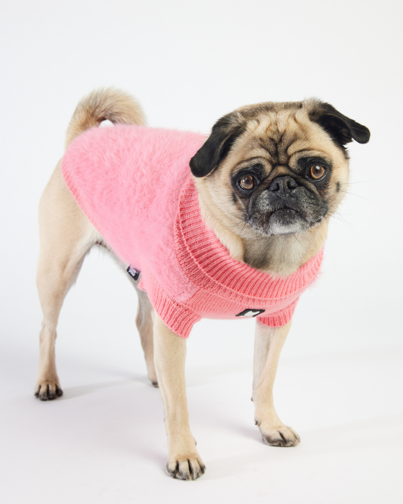 Long-Haired Fuzzy Dog Sweater<br>((FINAL SALE)) Wear SILVER PAW   