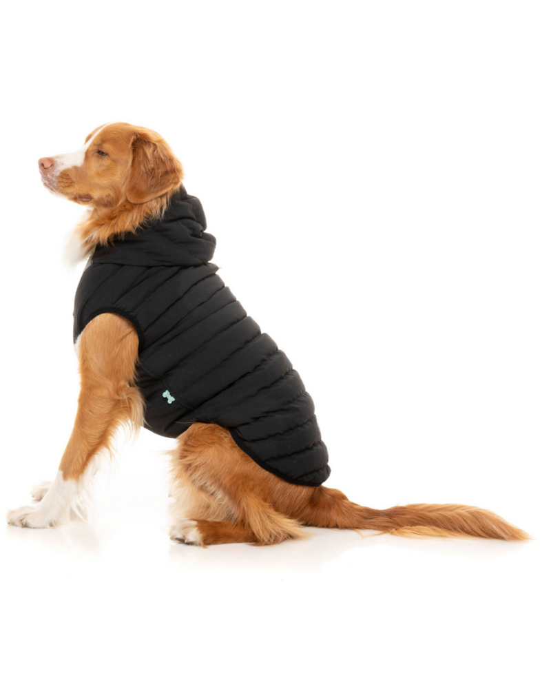 Black Aspen Puffer Dog Jacket  << FINAL SALE >> Wear FUZZYARD   