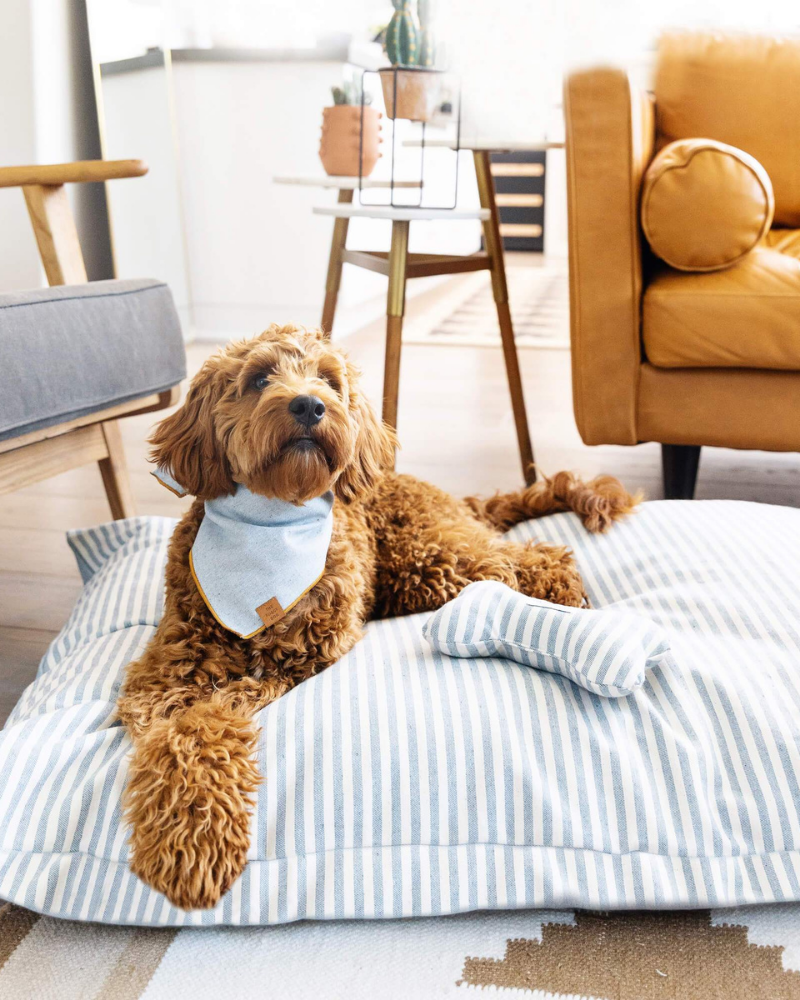 Upcycled Denim Stripe Bone Dog Squeaky Toy<br>(Made in the USA) Play THE FOGGY DOG   