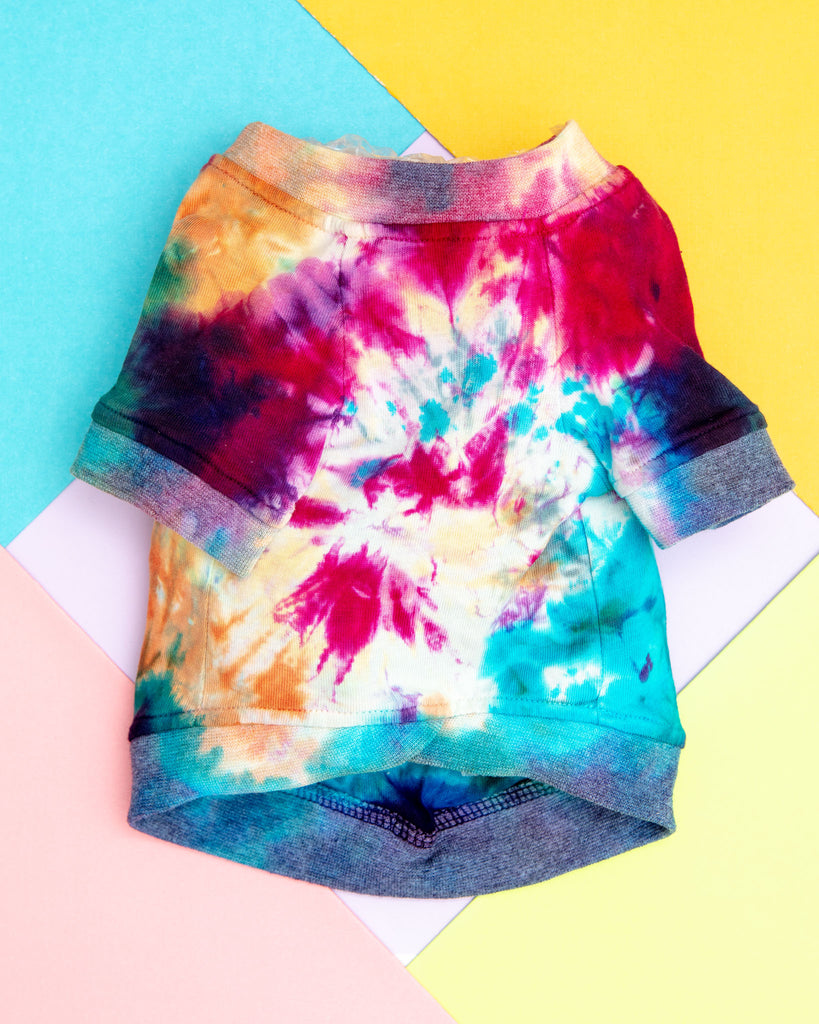Studio Splatter Dog T-Shirt in Woodstock (CLEARANCE) Wear FOUND MY ANIMAL   