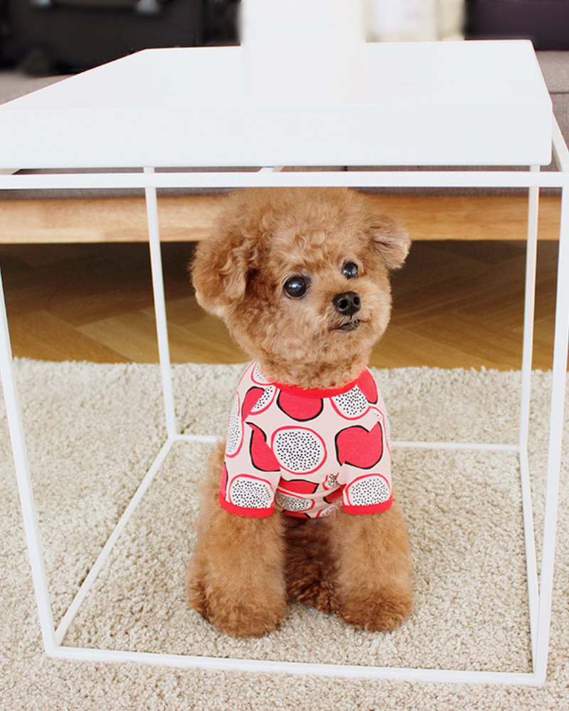 Dragonfruit Print Dog Onesie (FINAL SALE) Wear HUTS & BAY   