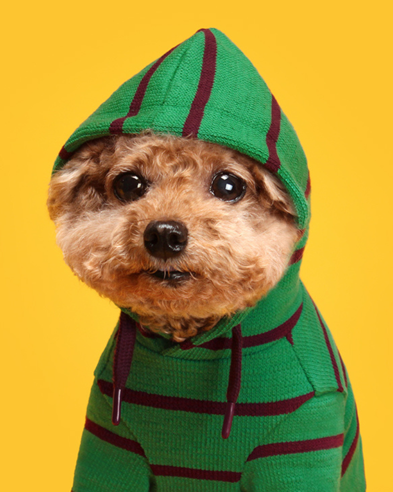 Stripe Dog Hoodie (FINAL SALE) Wear HUTS & BAY Green Stripe Small 