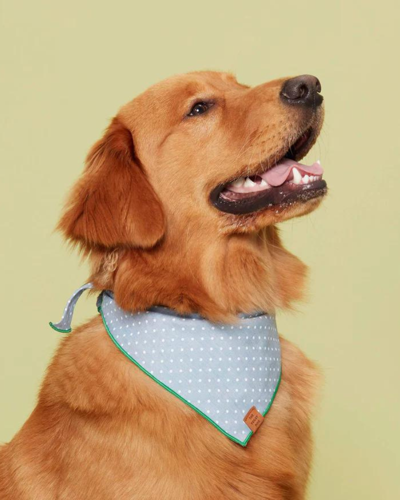 Chambray Dots Dog Bandana Wear THE FOGGY DOG   